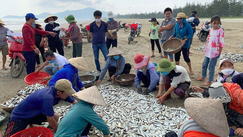 Ý Nghĩa Chiêm Bao Thấy Bãi Cá 